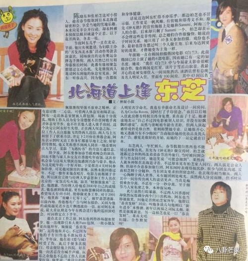 娱乐圈吃瓜的模板,揭秘明星们的幕后恩怨与甜蜜瞬间